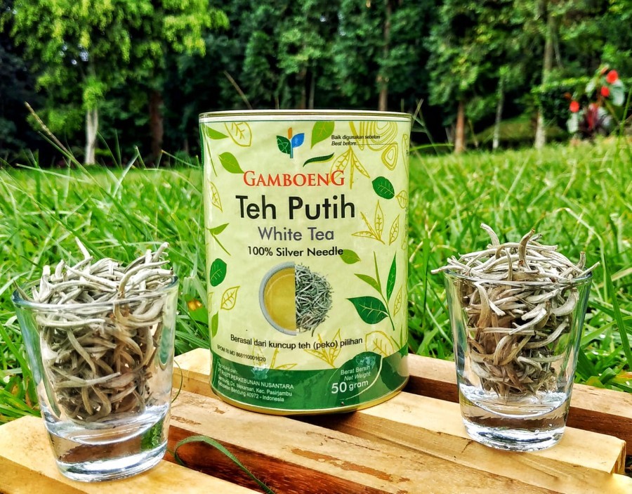 White Tea Silver Needle Tin 50 gr, Gamboeng